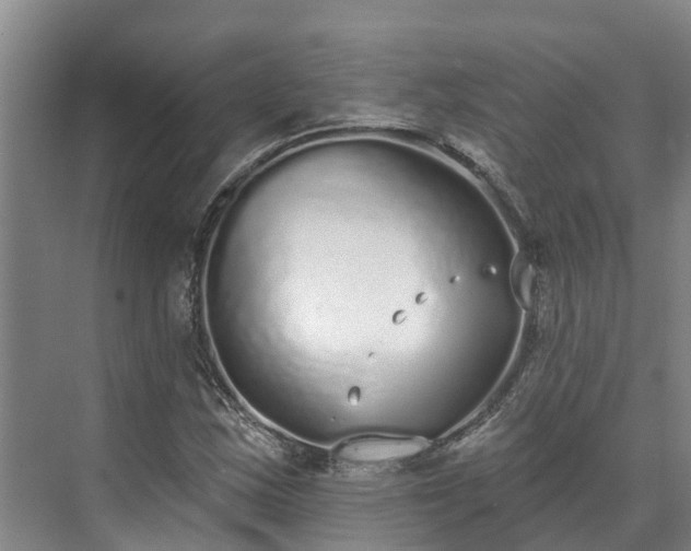 X0000071771163200607071254