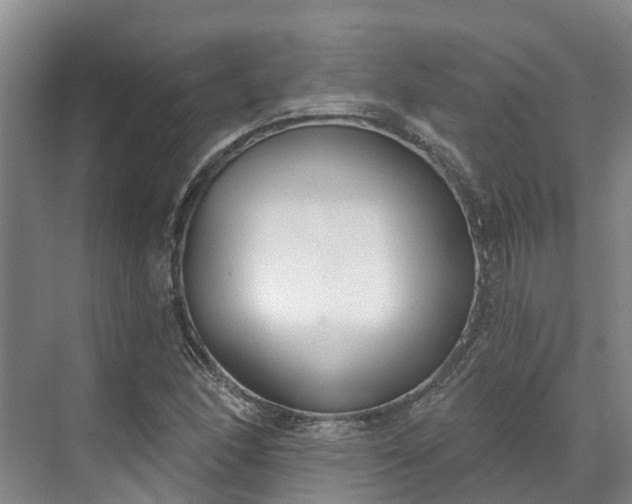 X0000071771166200607071254