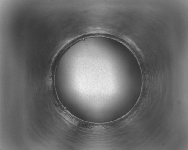 X0000071771167200607071254