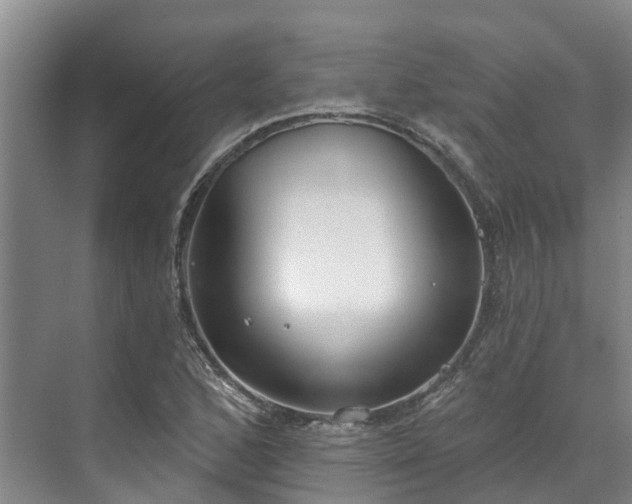 X0000071771168200607071254