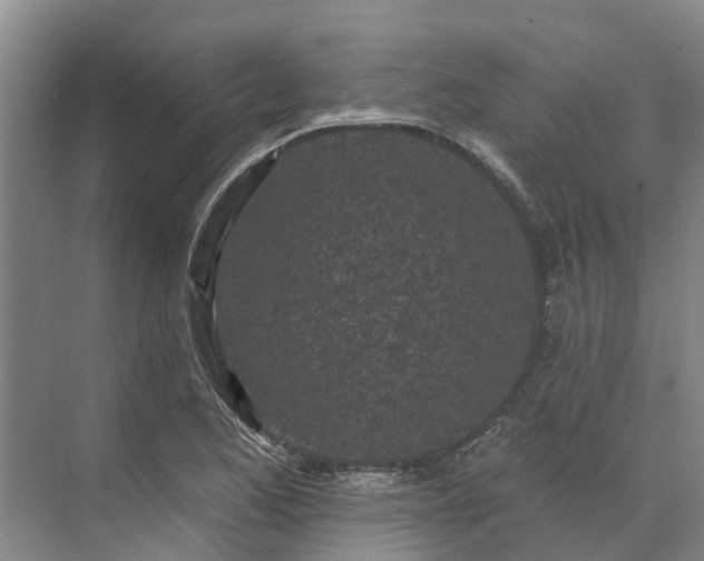 X0000071771173200607071254