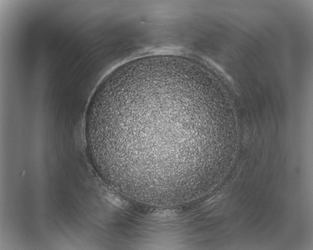 X0000071771174200607071254