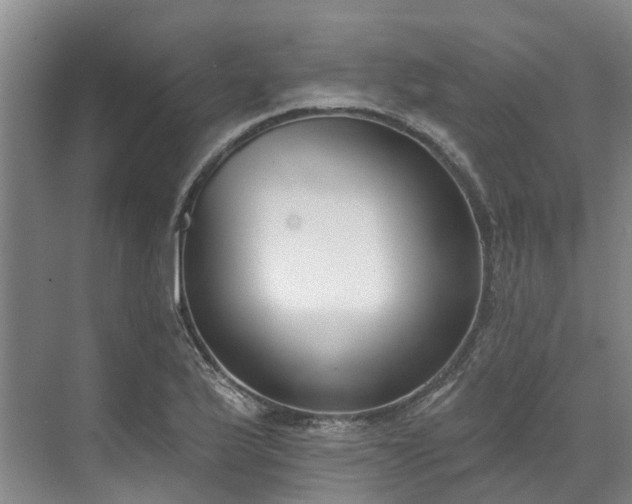 X0000071771175200607071254