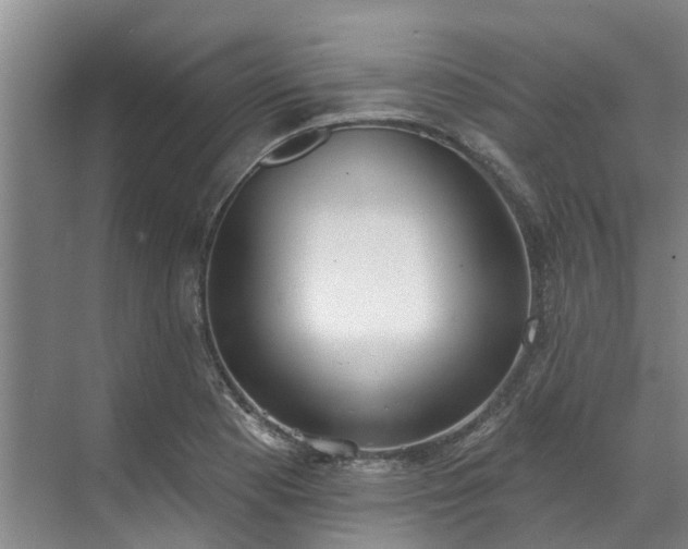 X0000071771177200607071254