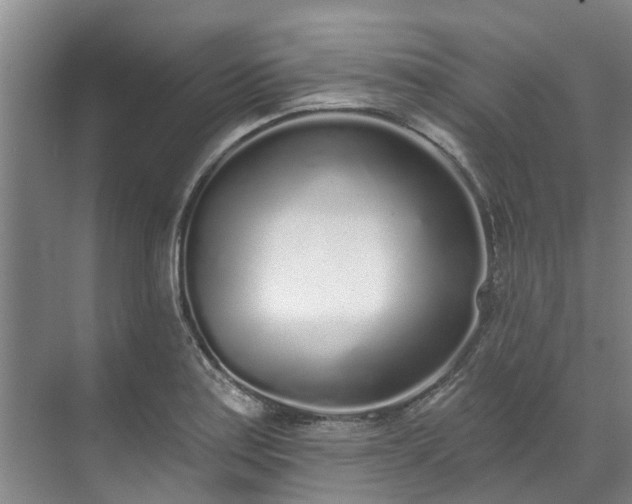 X0000071771179200607071254