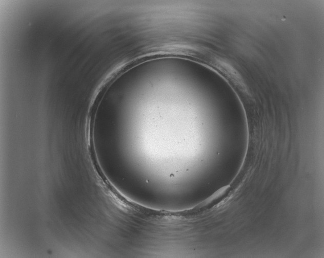 X0000071771180200607071254