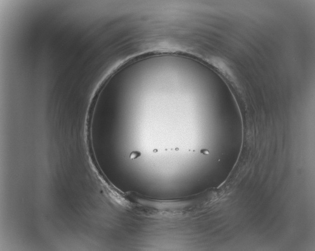 X0000071771183200607071254