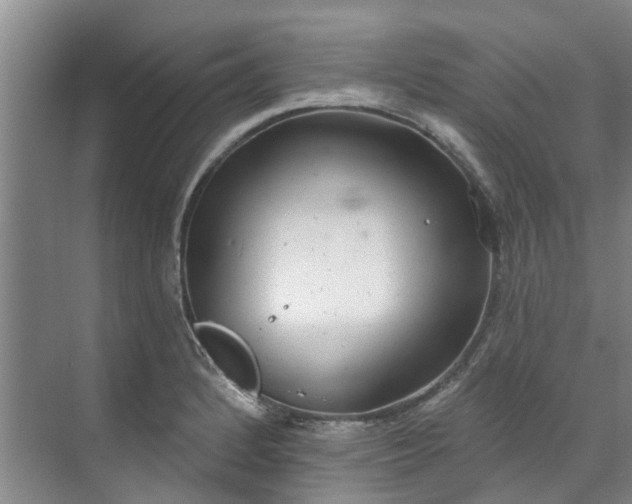 X0000071771184200607071254