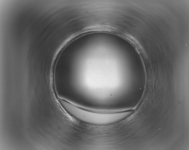 X0000071771188200607071254