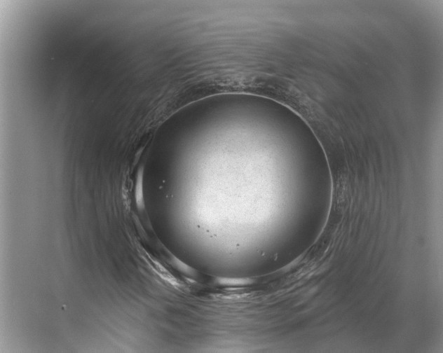 X0000071771202200607071253