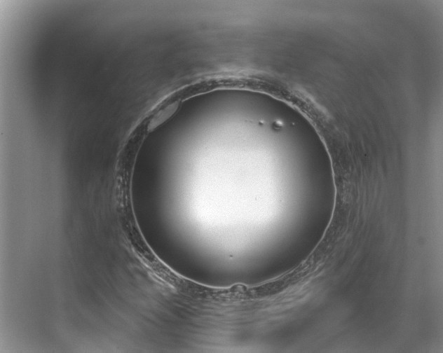 X0000071771208200607071253