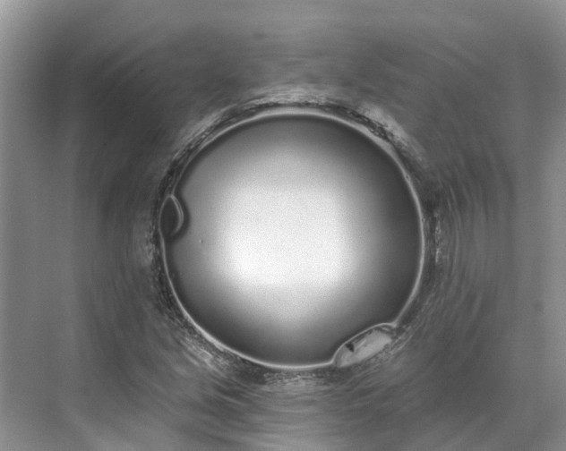 X0000071771213200607071253