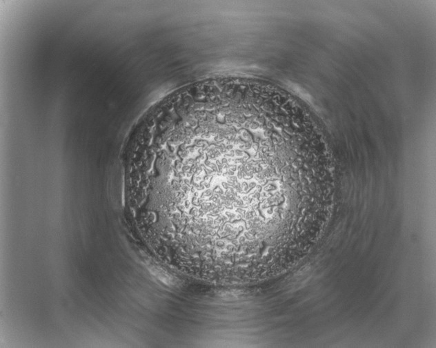 X0000071771219200607071253