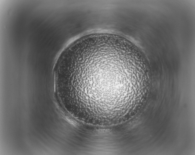 X0000071771223200607071253