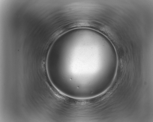 X0000071771225200607071253