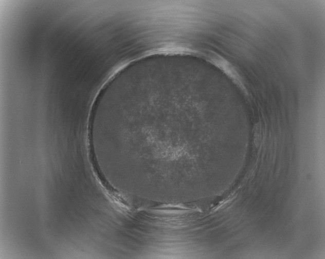 X0000071771229200607071253