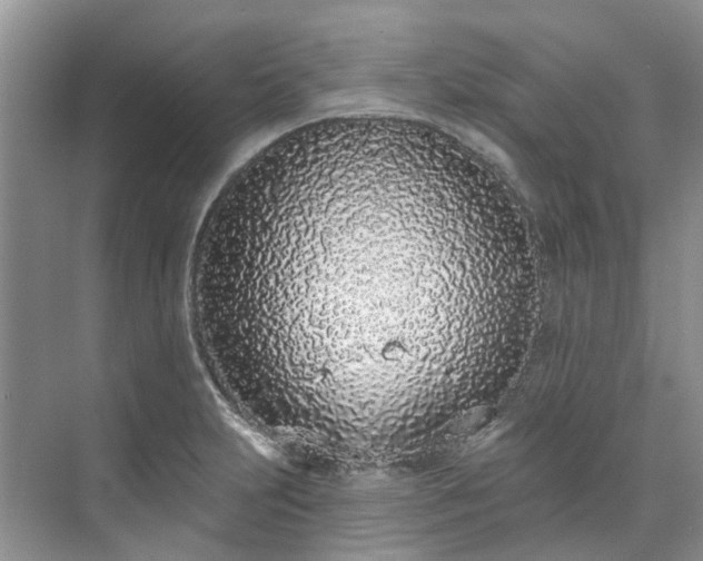 X0000071771231200607071253