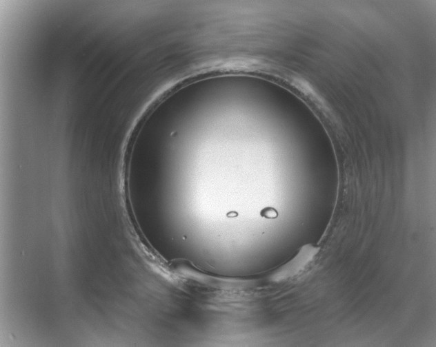 X0000071771232200607071253