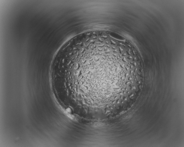 X0000071771235200607071253