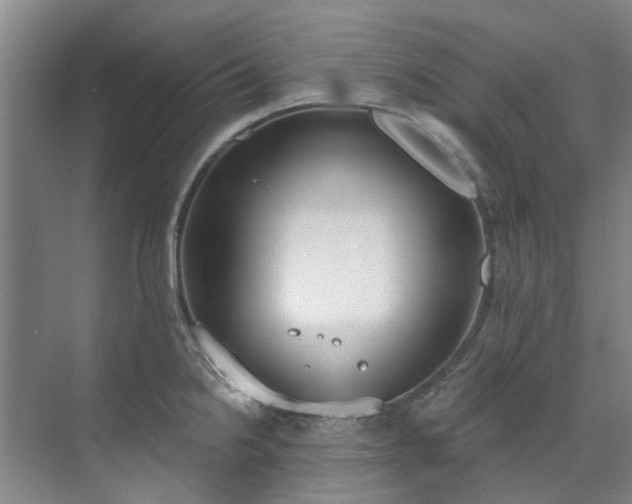 X0000071771238200607071253