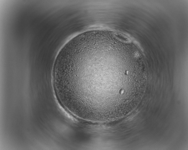 X0000071771239200607071253