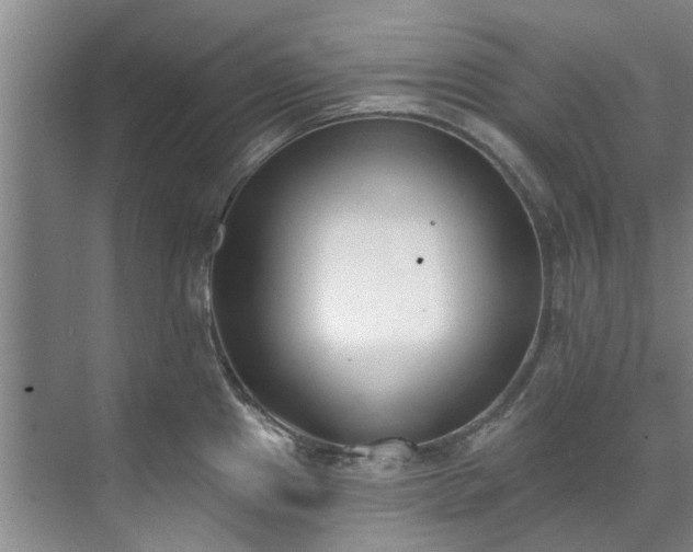 X0000071771241200607071253