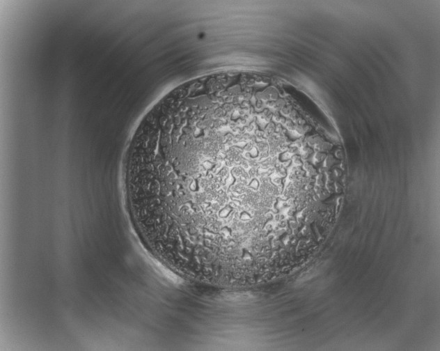 X0000071771243200607071253