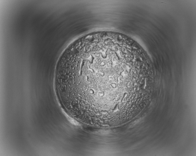 X0000071771245200607071253