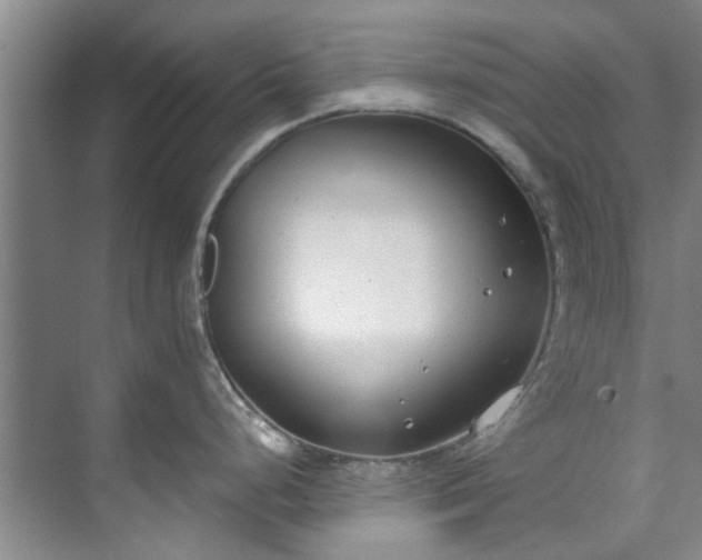 X0000071771248200607071253