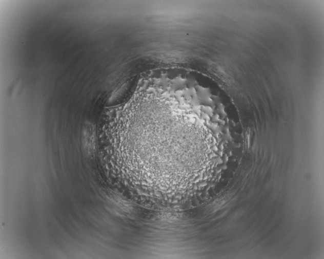 X0000071771251200607071253