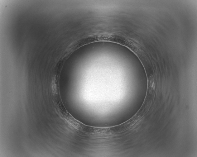 X0000071771252200607071253