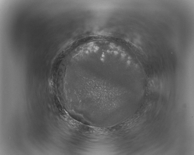 X0000071771254200607071252