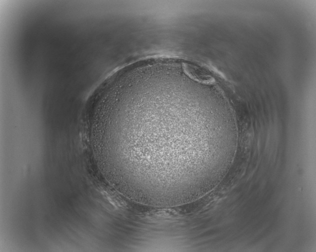 X0000071771255200607071252