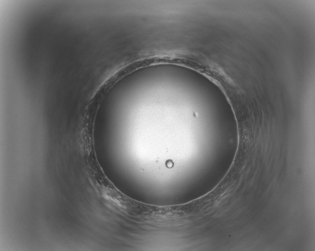 X0000071771256200607071252