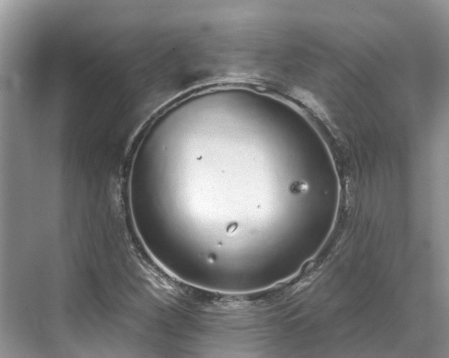 X0000071771260200607071252