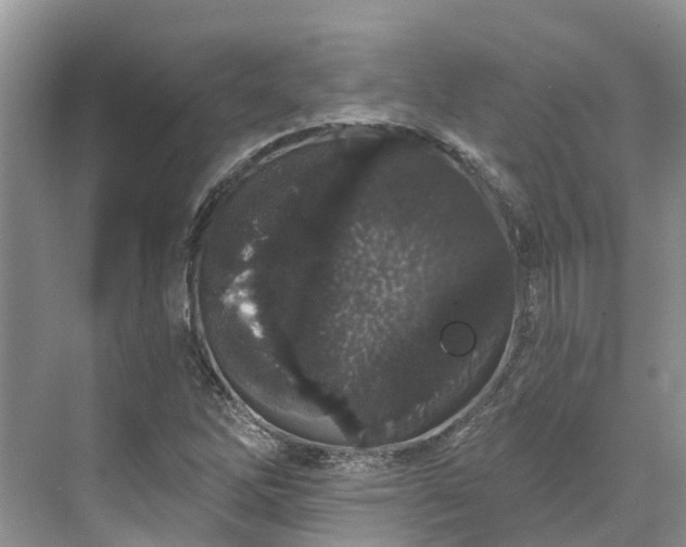 X0000071771262200607071252