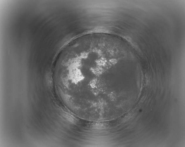 X0000071771266200607071252