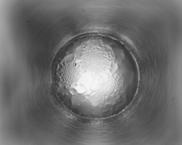 X0000071771267200607071252