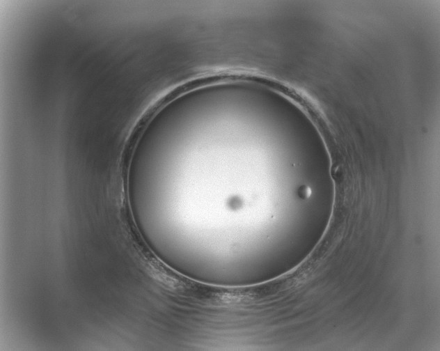 X0000071771271200607071252