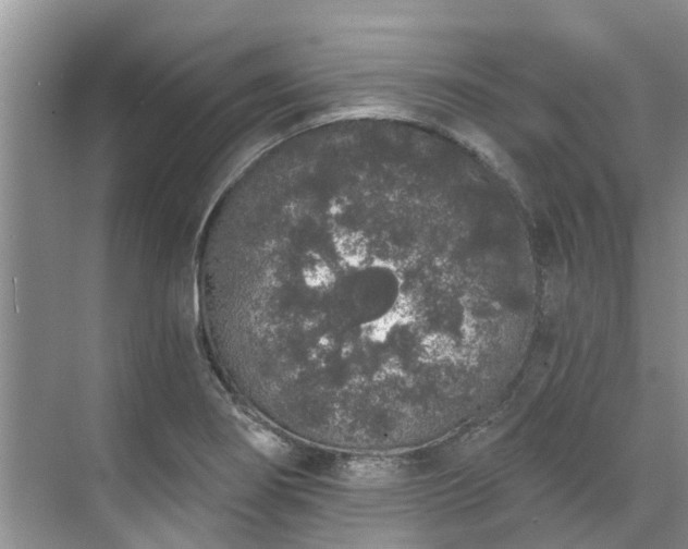 X0000071771274200607071252