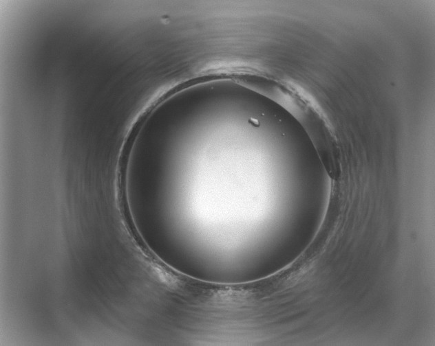 X0000071771277200607071252