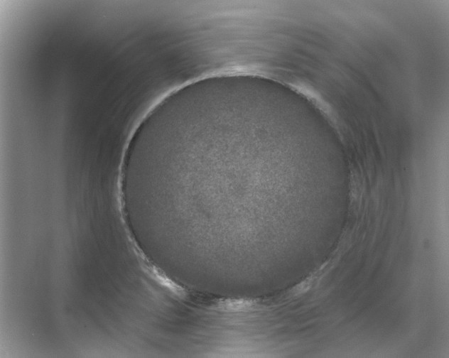 X0000071771278200607071252