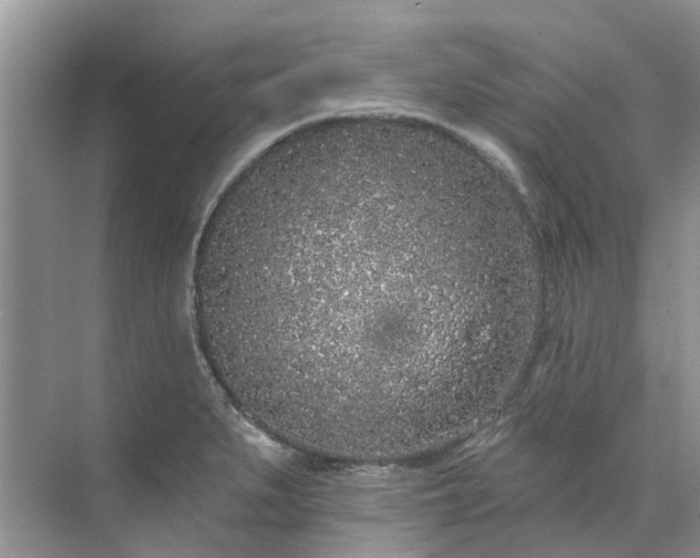 X0000071771279200607071252