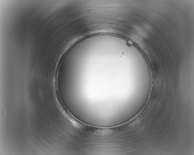 X0000071771282200607071252