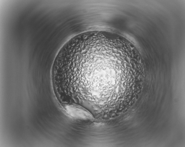 X0000071771283200607071252