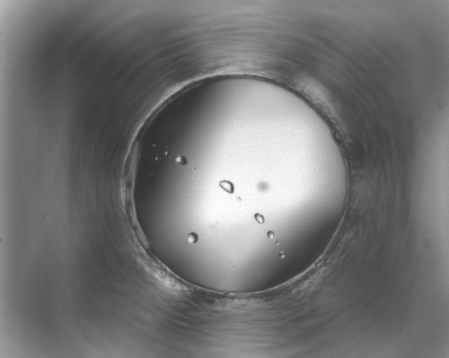 X0000071771284200607071252