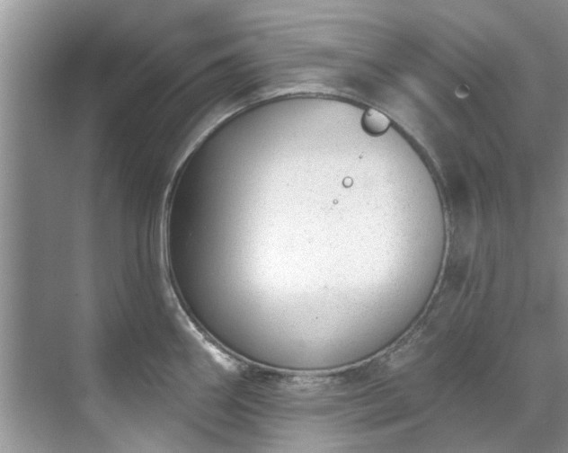 X0000071771290200607071252