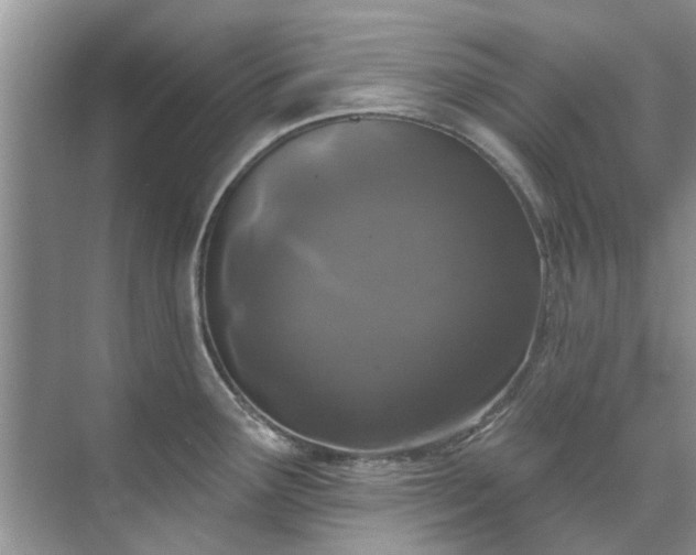 X0000071771291200607071252