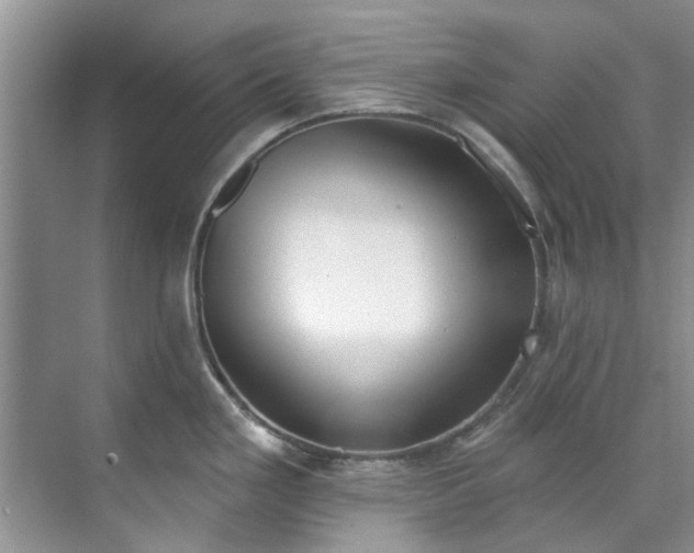 X0000071771293200607071252