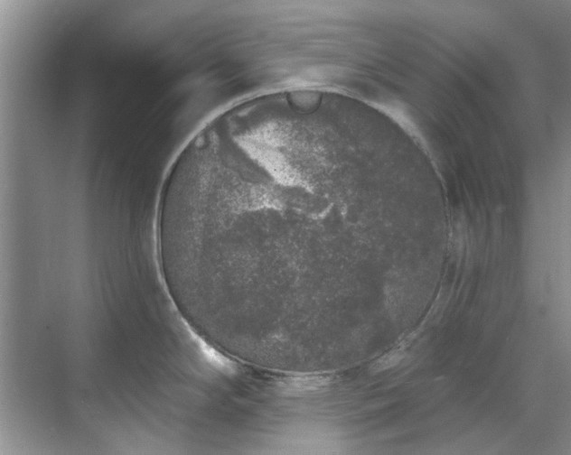 X0000071771294200607071252